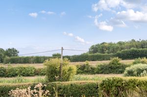 Photo 25- click for photo gallery